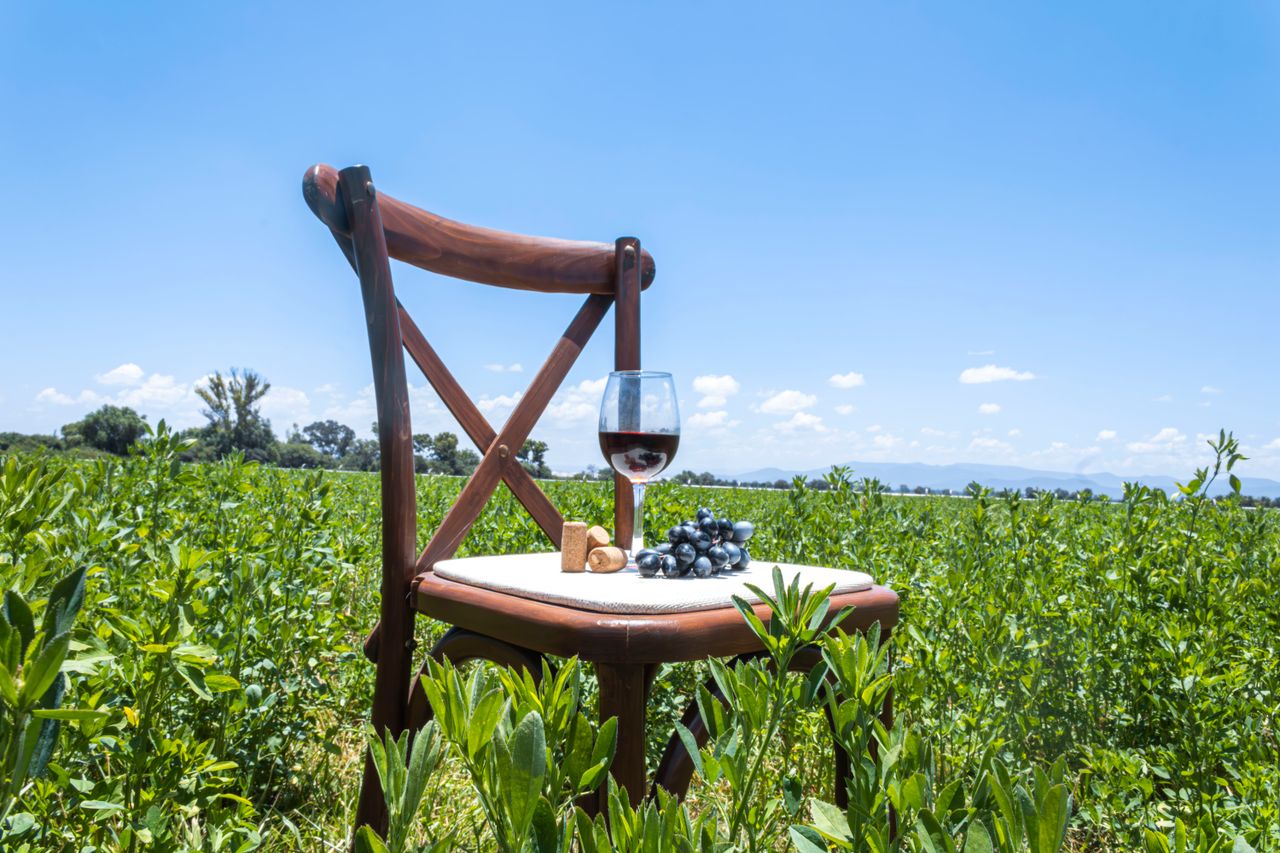 quality-assurance-01 A wooden chair with a wine glass and grapes in a lush vineyard under a clear blue sky.